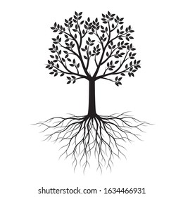 Black shape of Tree with Leaves and Roots. Vector outline Illustration. Plant in Garden.