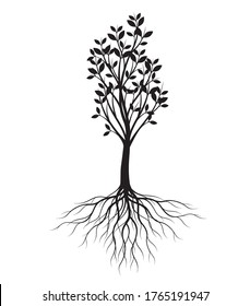 Black shape of Tree with Leaves and Roots. Vector outline Illustration. Plant in Garden. EPS file.