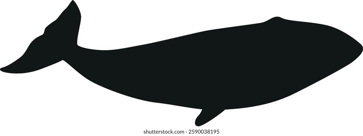 Black shark arctic water animal