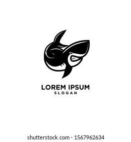 black shark fish predator logo icon design vector illustration