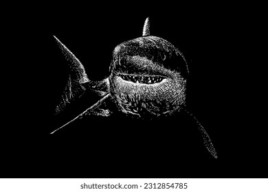 black shark hand drawing vector isolated on black background.