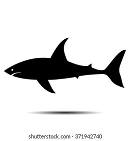 Black shark  with shadow