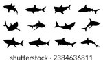 Black shark silhouette collection. Set of different shark silhouette on a white background. Shark silhouette in variety pose
