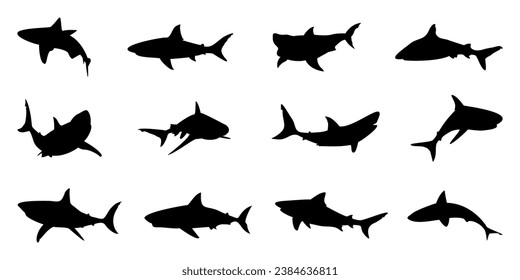 Black shark silhouette collection. Set of different shark silhouette on a white background. Shark silhouette in variety pose