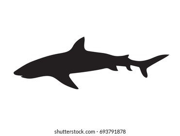 black shark silhouette- vector illustration