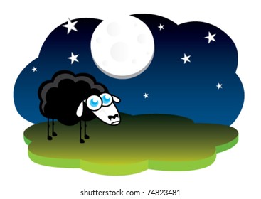 black sheep alone at night