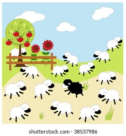 black sheep in the family