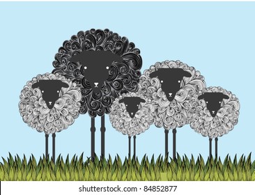 Black Sheep Illustration/vector