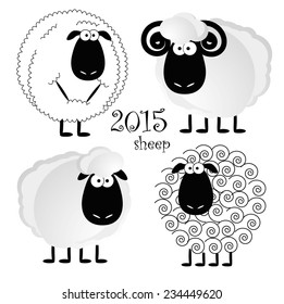 Black sheep, New Year