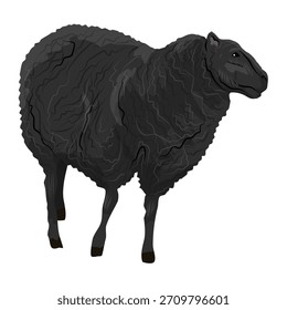 Una oveja negra. Vector animal realista