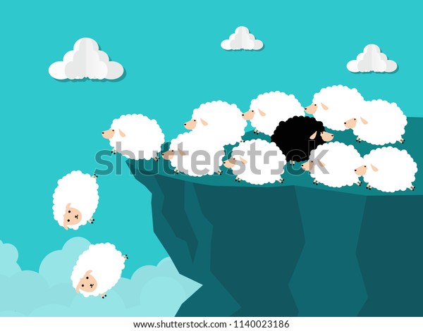 running sheep danger running sheep danger