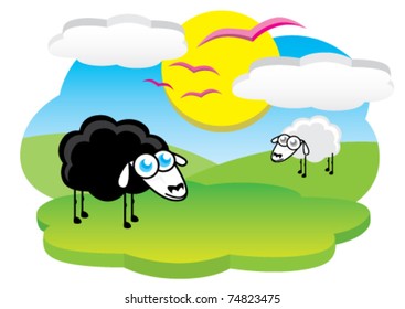 black sheep at sunrise