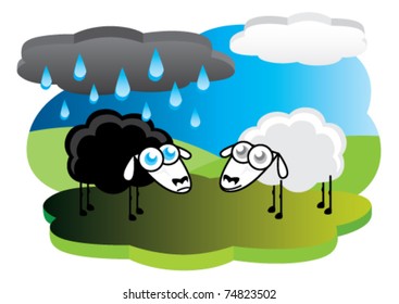 black sheep under the weather