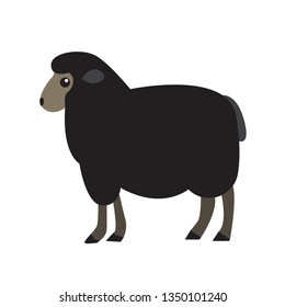 Black sheep vector