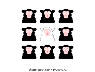 black sheep and white sheep