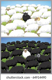 Black sheep in white flock and white sheep in black flock. 