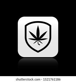 Black Shield and marijuana or cannabis leaf icon isolated on black background. Marijuana legalization. Hemp symbol. Silver square button. Vector Illustration