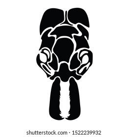 Black shillouette ants heads vector