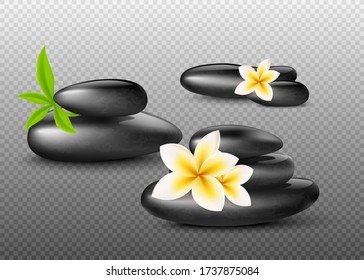 Black shiny SPA massage stones with plumeria flowers and green leaves isolated on transparent background. Smooth flat stacked basalt rocks - vector illustration.