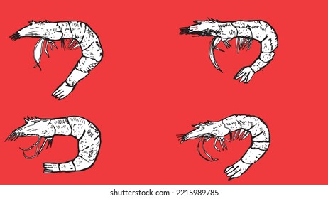 black shrimp on a transparent background. design for fish restaurants. Vector graphics. Tiger chrimp. hand drawing. seafood on a red background