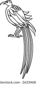 Black Sicklebill Bird Vector Outline Illustration