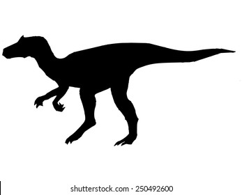 black silhouette of 