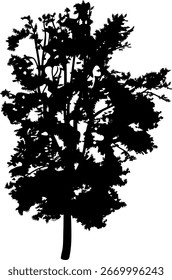 Silueta negra del árbol caducifolio abstracto con la corona grande para el diseño del paisaje en estilo realista de la historieta aislado en el fondo blanco