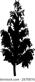 Silueta negra del árbol caducifolio abstracto con la corona grande para el diseño del paisaje en estilo realista de la historieta aislado en el fondo blanco