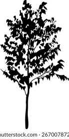 Silueta negra del árbol caducifolio abstracto en estilo realista de la historieta aislado en el fondo blanco
