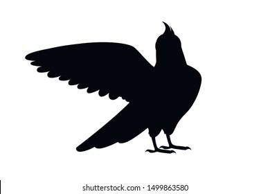 Black silhouette adult parrot of normal grey cockatiel looking on you and flapping its wing (Nymphicus hollandicus, corella) cartoon bird design flat vector illustration isolated on white background