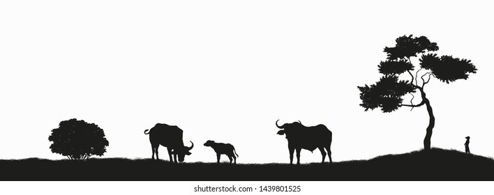 Black silhouette of african buffalo on white background. Isolated scene with bull family. Landscape with wild african animals. Scene of savannah wildlife. Travel poster of Africa. Vector illustration