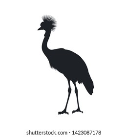 Black silhouette of african grey crowned crane on white background. Isolated bird icon. Wild animals of Africa. Savannah nature. Desert wildlife. Vector illustration 