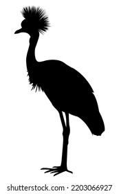 Black silhouette of african grey crowned crane on white background. Isolated bird icon. Wild animals of Africa. Savannah nature. Desert wildlife