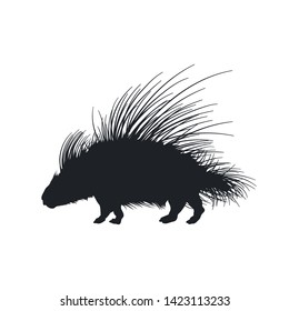 Black silhouette of african porcupine on white background. Isolated hedgehog icon. Wild animals of Africa. Savannah nature. Vector illustration 