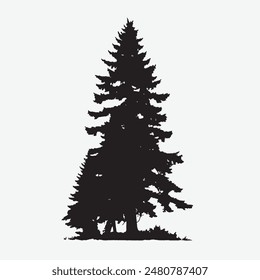 black silhouette of a alpine balsam tree in white background