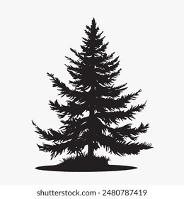 black silhouette of a alpine balsam tree in white background