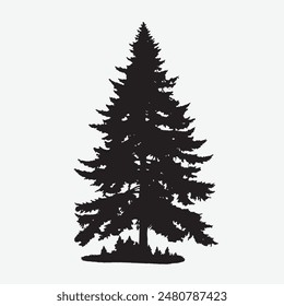 black silhouette of a alpine balsam tree in white background