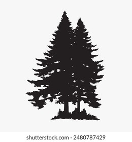 black silhouette of a alpine balsam tree in white background