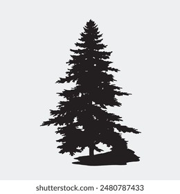 black silhouette of a alpine balsam tree in white background