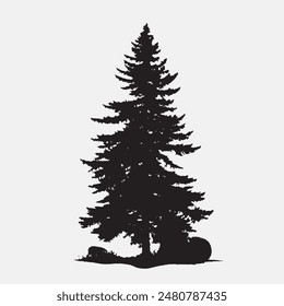 black silhouette of a alpine balsam tree in white background