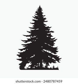 black silhouette of a alpine balsam tree in white background