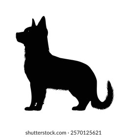 Black silhouette of a American Bobtail