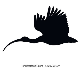 Black silhouette American white ibis flat vector illustration cartoon animal design white bird with red beak on white background side view