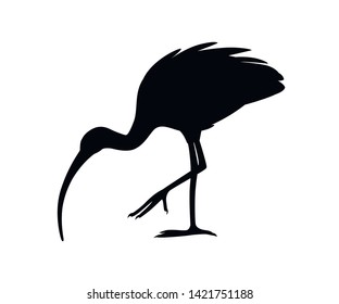 Black silhouette American white ibis flat vector illustration cartoon animal design white bird with red beak on white background side view