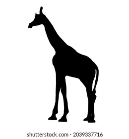 Black silhouette of an animal giraffe on a white background.Vector illustration.