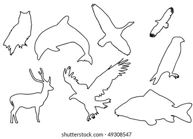 Black silhouette of animals