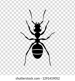 Black silhouette of ant on a transparent background. Wildlife, insects. Signs and symbols. Flat design. Vector. EPS10
