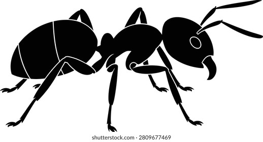 Black silhouette of an ant with segmented body and six legs insect white
