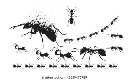 black silhouette ants in various poses and sizes, including a dynamic abstract ant disintegrating into particles. Perfect for science, nature, and art concepts