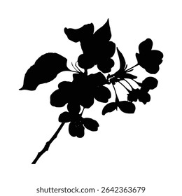 A black silhouette of an apple blossom branch against a white background. The image features detailed leaves and flowers in a simple, elegant style. The overall mood is serene and minimalist.